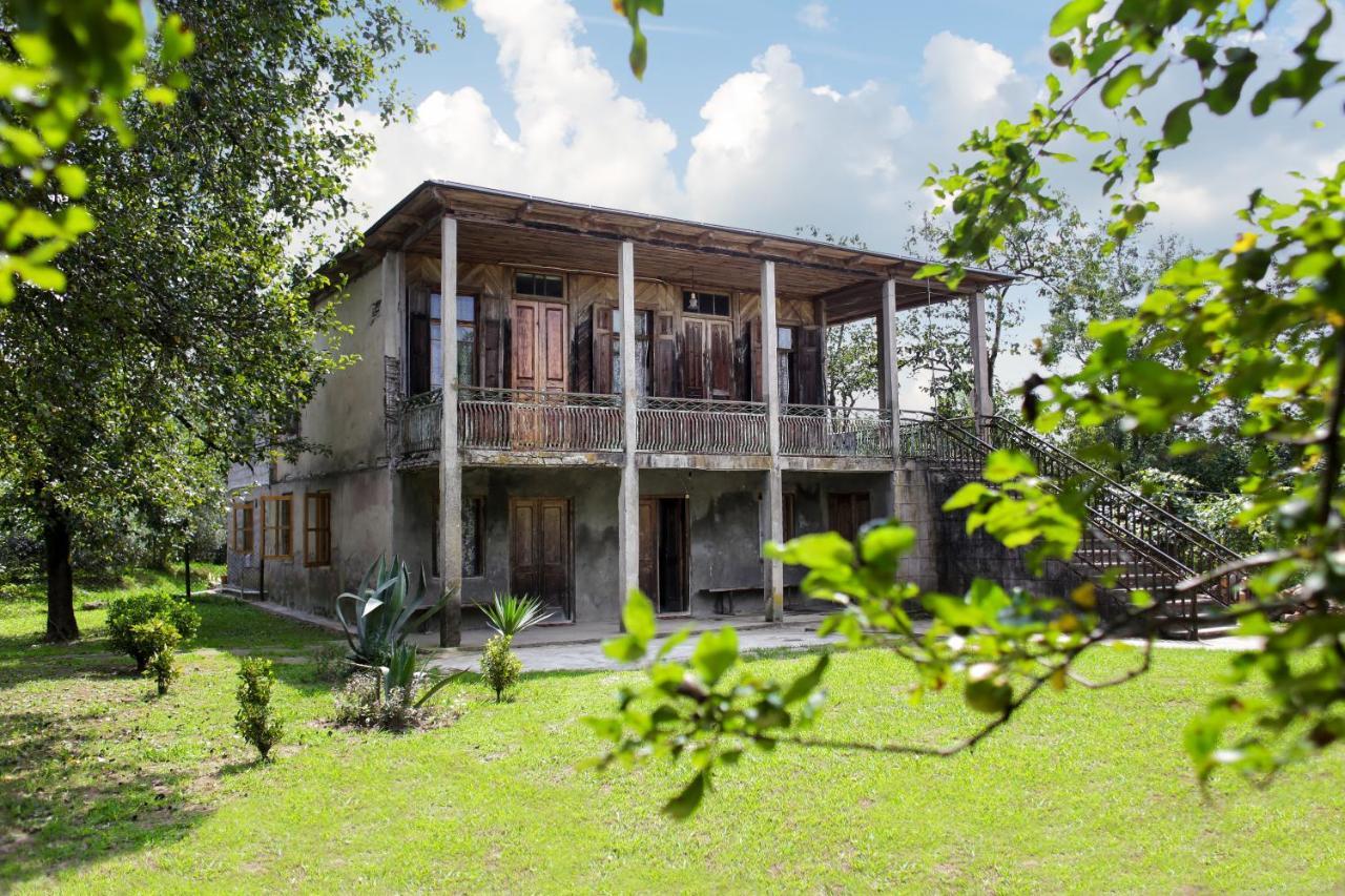Daraselia Family Guesthouse זוגדידי מראה חיצוני תמונה