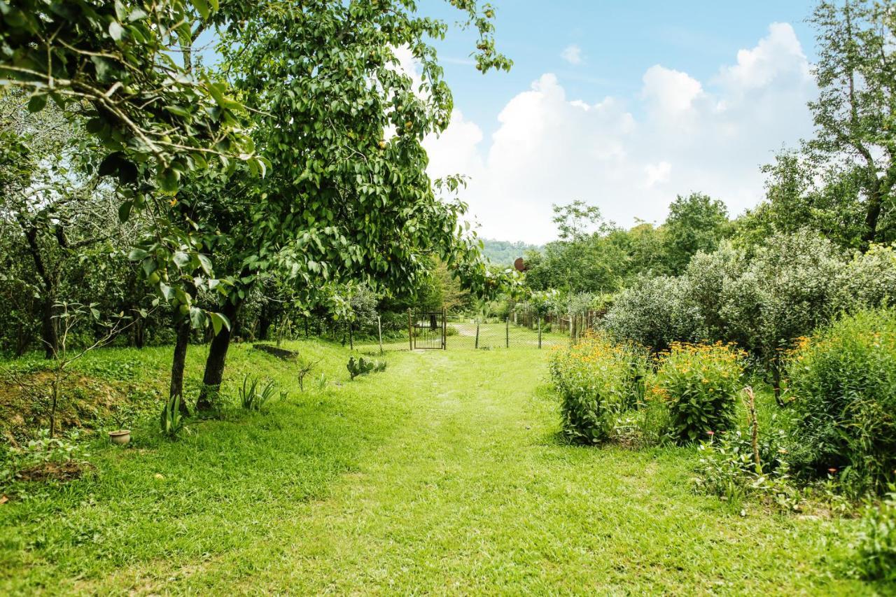 Daraselia Family Guesthouse זוגדידי מראה חיצוני תמונה